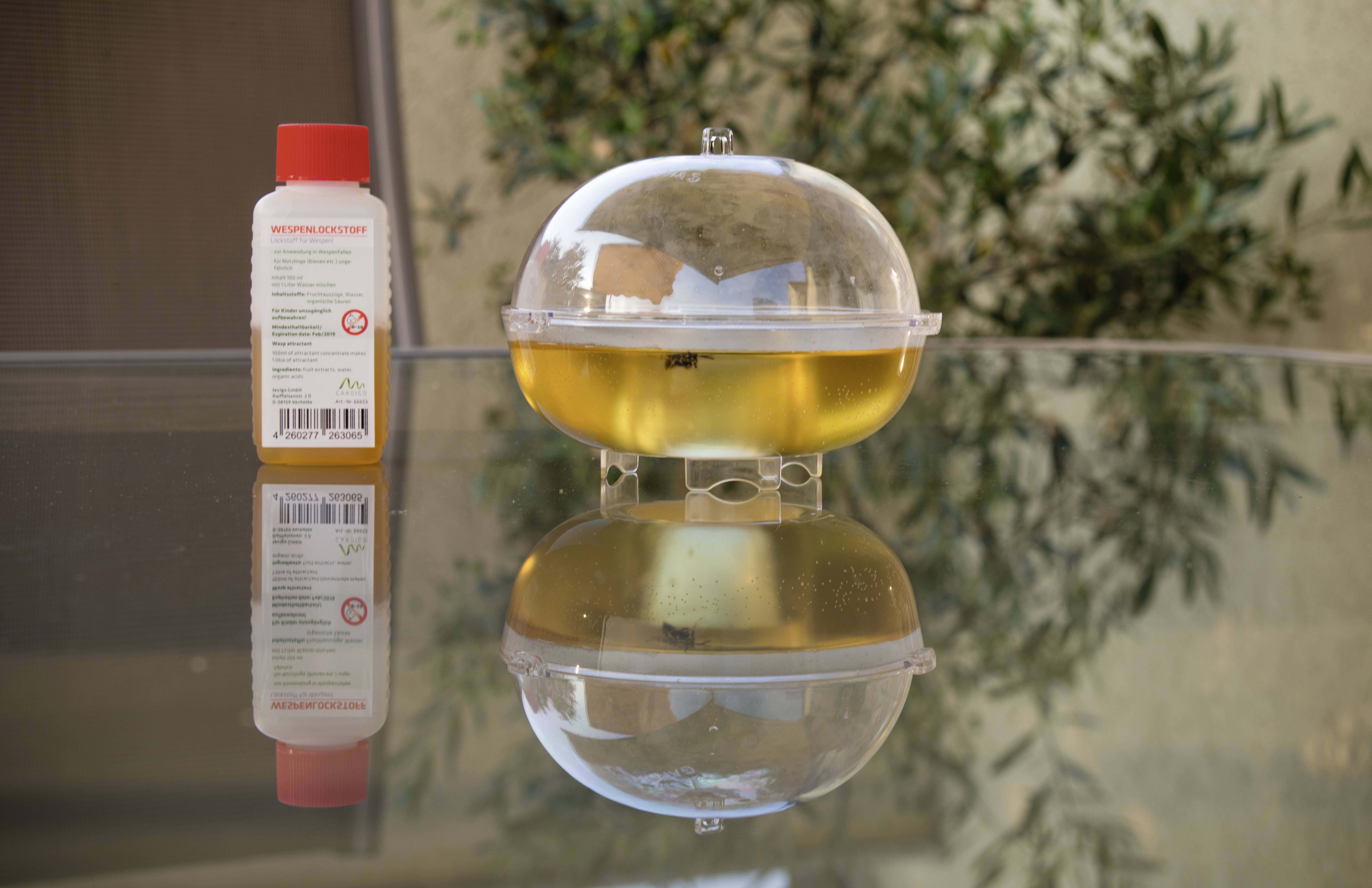 Répulsif anti-insectes sur une table en verre à côté d'un piège à insectes utiles, reflété dans la vitre, avec un arrière-plan de jardin flou.