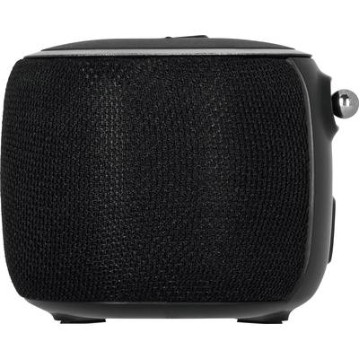 Haut-parleur portable noir avec grille de protection, compact et rectangulaire, idéal pour un plaisir audio mobile.