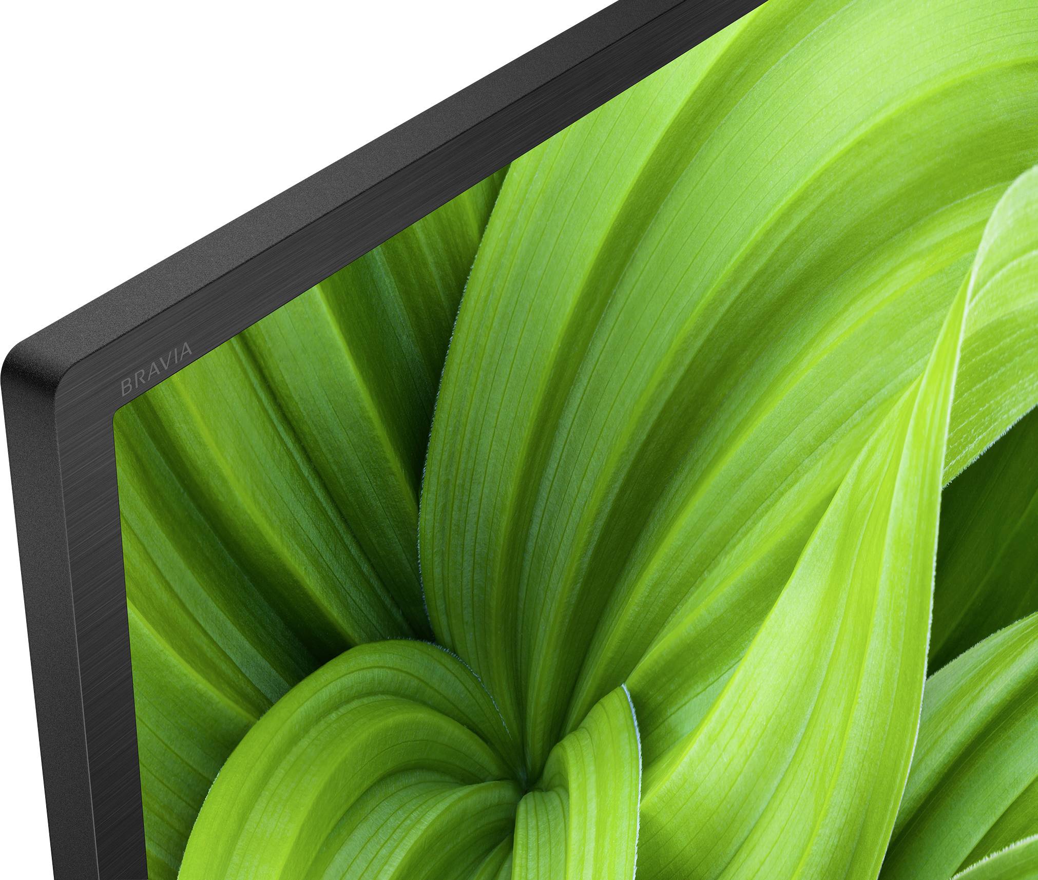 Un téléviseur avec un écran affiche un gros plan de feuilles vert vif. L'image dégage une sensation de fraîcheur et de nature.