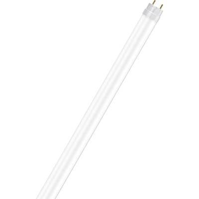 Un tube fluorescent blanc, allongé, avec des contacts métalliques à chaque extrémité, généralement utilisé pour l'éclairage.