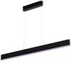 Philips Hue Suspension LED 871951434336800 Hue White & Col. Amb. Ensis LED intégrée 79 W