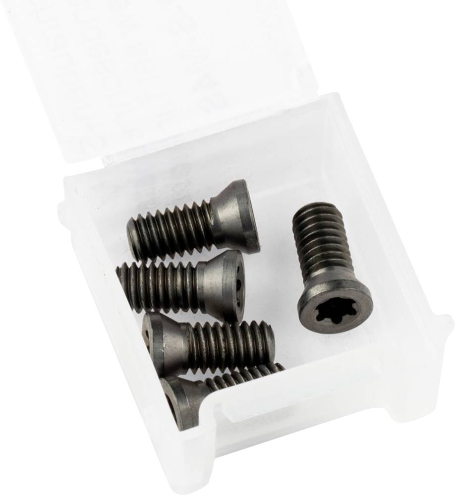 Une boîte en plastique transparent contient plusieurs vis noires à tête cylindrique à six pans creux, utilisées pour la fixation de pièces.