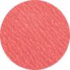 PFERD TOOLS 42749512 Mini-disque fibre Diamètre 50 mm Grain=120 100 pc(s)