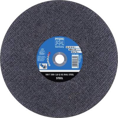 Un disque abrasif rond de PFERD portant l'inscription '100 T 300-3,8 Q SG Rail Steel'. Sur l'étiquette est inscrit 'Steel' avec des détails techniques.
