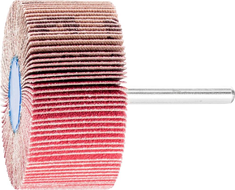 PFERD TOOLS 44411834 Roue à lamelles sur tige Diamètre 60 mm 10 pc(s)