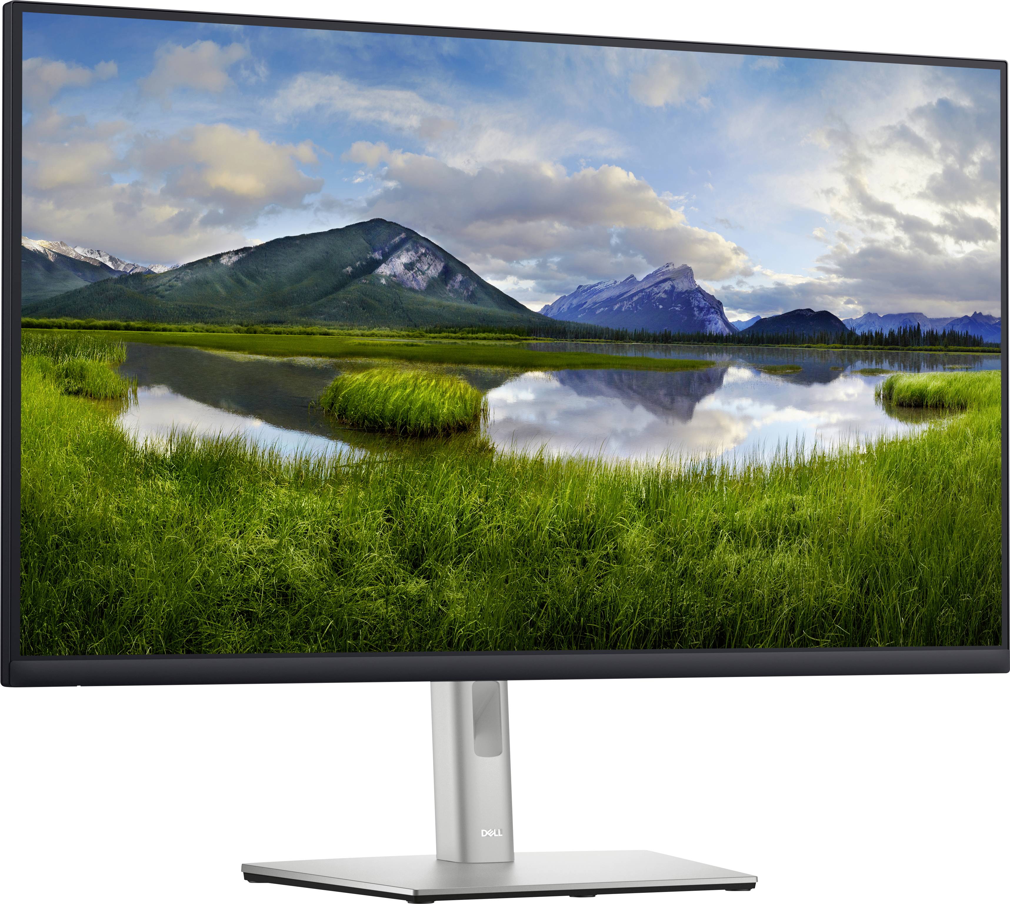 Dell P3222QE Moniteur LED 80 cm (31.5 pouces) CEE F (A - G);3840 x 2160 pixels4K, UHD5 msDisplayPort, HDMI™, USB-C®, USB-2