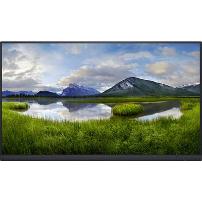 Moniteur LED Dell P2422H CEE C (A - G) 60.5 cm 23.8 pouces 1920 x 1080 pixels 16:9 8 ms DisplayPort, VGA, HDMI™, USB 3.1-0