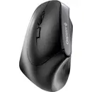 CHERRY MW 4500 Souris sans fil, radio noir 6 Boutons 1200 dpi ergonomique