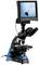 Microscope à écran numérique montrant l'image agrandie d'un petit objet. Écran et oculaires pour l'observation.