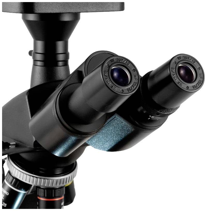 Un microscope binoculaire avec plusieurs objectifs, utilisé pour l'observation et l'analyse scientifique.