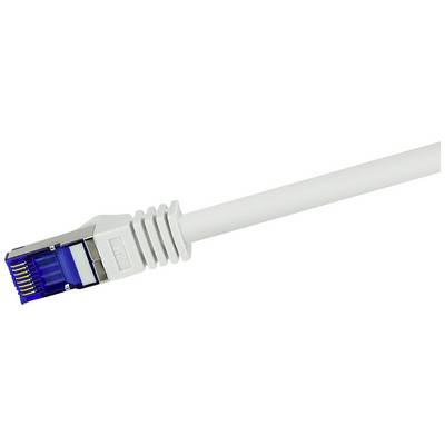 Un câble Ethernet gris avec une prise bleue pour les connexions réseau.