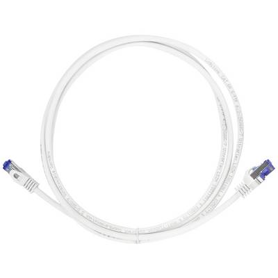 Un câble réseau blanc avec deux connecteurs bleus à chaque extrémité, disposé en forme de cercle.