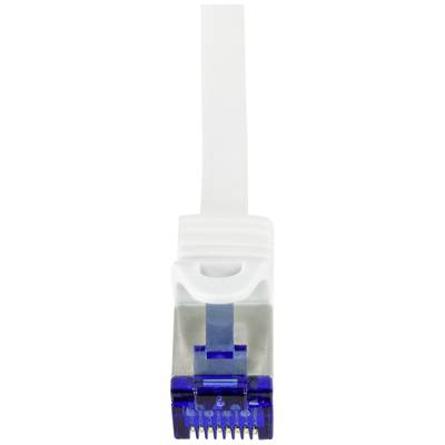 Une prise Ethernet avec un câble blanc et un embout de connecteur bleu.