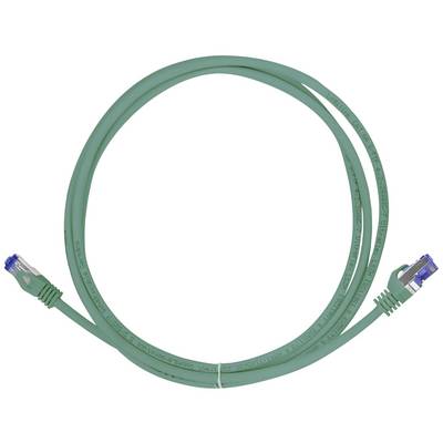 Un câble Ethernet vert avec des connecteurs RJ45 à chaque extrémité.