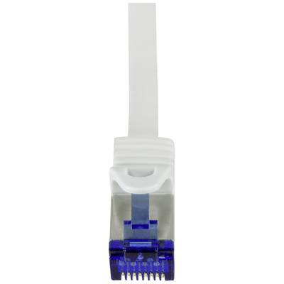 Un câble plat blanc avec une fiche RJ45 bleue, utilisé pour la connexion réseau.