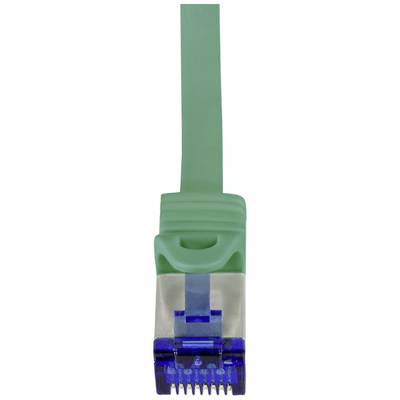 Un câble Ethernet vert avec une prise bleue, gros plan.