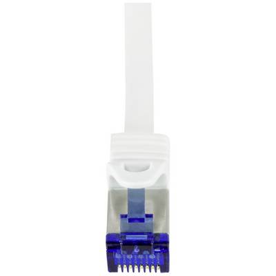Un connecteur RJ45 bleu avec des composants de boîtier transparents, photographié de face et relié à un câble plat blanc.