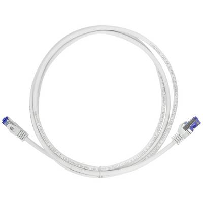 Un câble réseau blanc avec des connecteurs bleus à chaque extrémité, disposé en forme de cercle sur un fond blanc.
