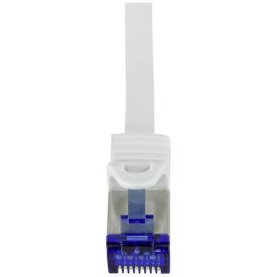 Un connecteur Ethernet bleu avec un capuchon de protection sur un câble plat blanc, sur un fond blanc.
