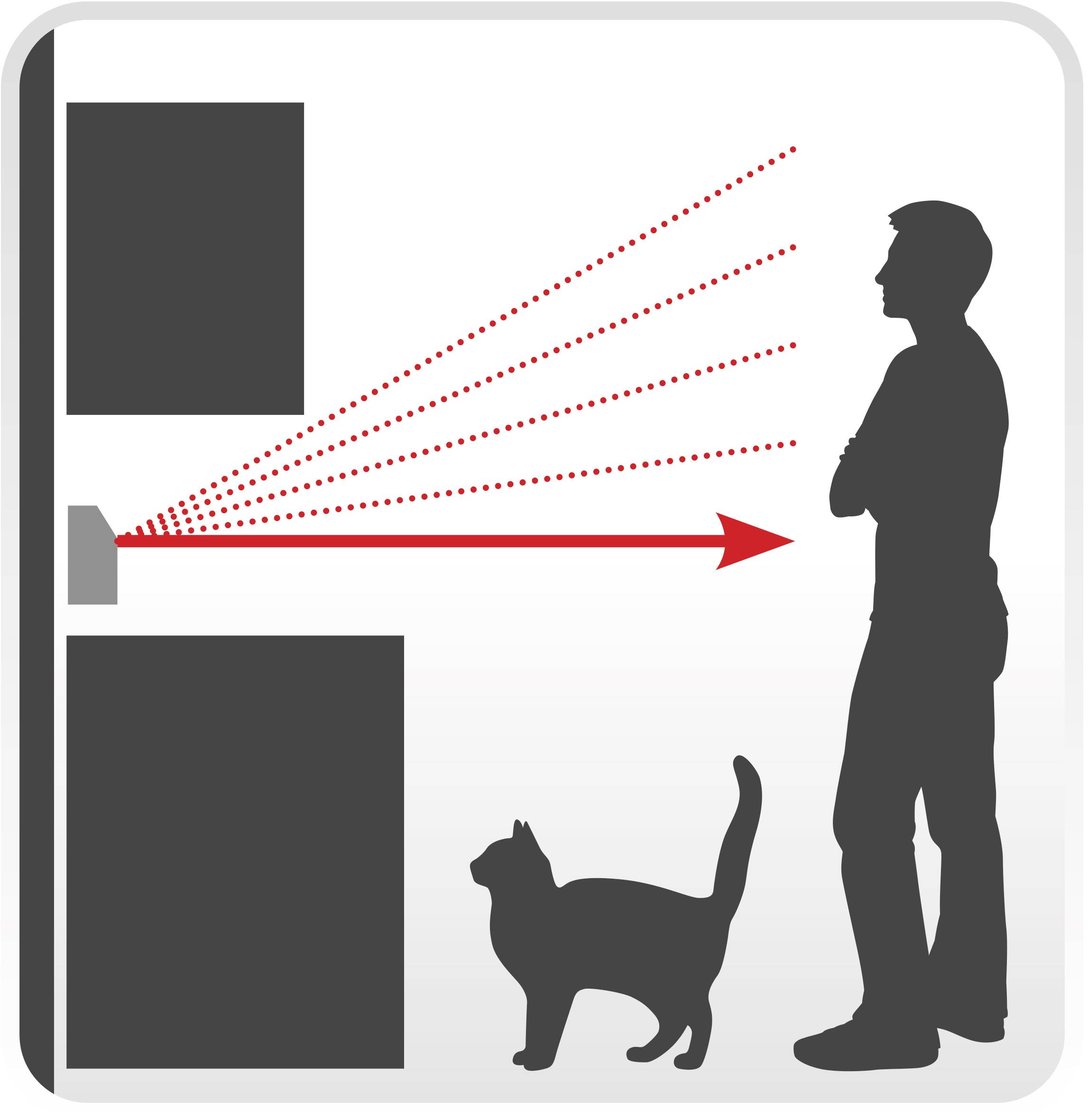 Un homme et un chat se tiennent devant une porte automatique détectée par un détecteur de mouvement ; la porte s'ouvre.