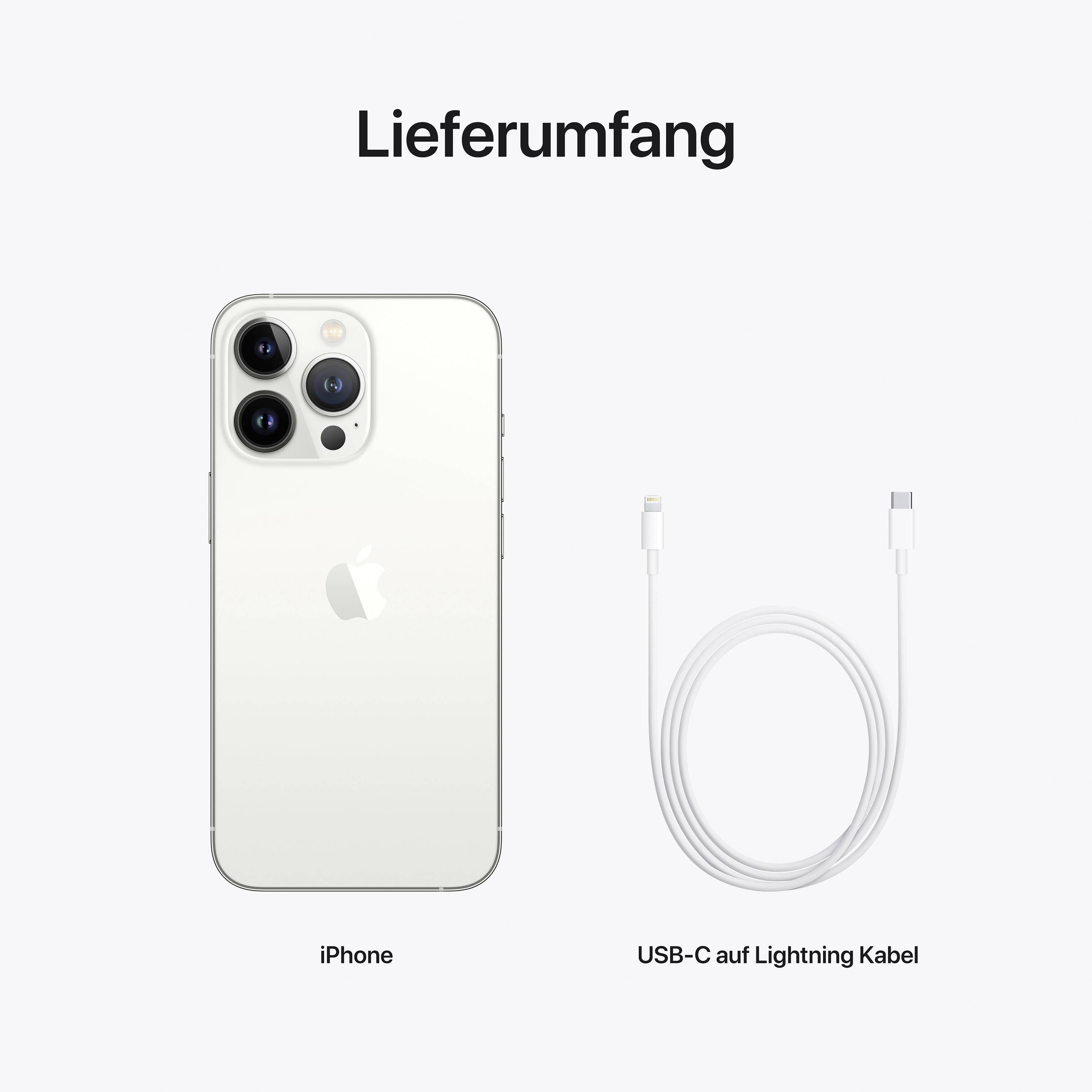 Apple iPhone 13 Pro argent 256 GB 15.5 cm (6.1 pouces)-9