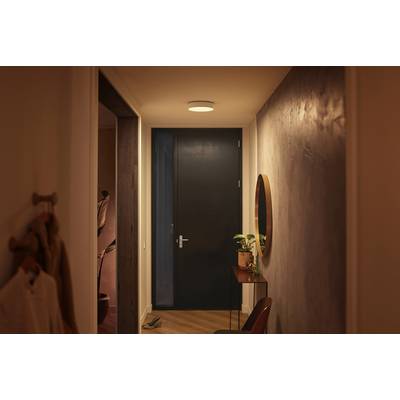 Entrée avec une lumière chaleureuse, montrant une porte sombre fermée au fond. À droite, un miroir rond au-dessus d'une petite table avec une plante.