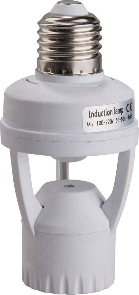 'Lampe à induction avec marquage CE, plage de tension 100-220V, courant alternatif 50-60Hz.'