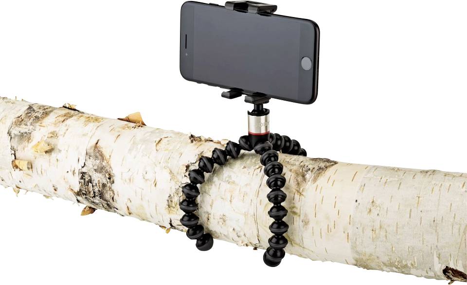Un smartphone est fixé à un tronc d'arbre à l'aide d'un trépied flexible, symbolisant la photographie créative dans la nature.