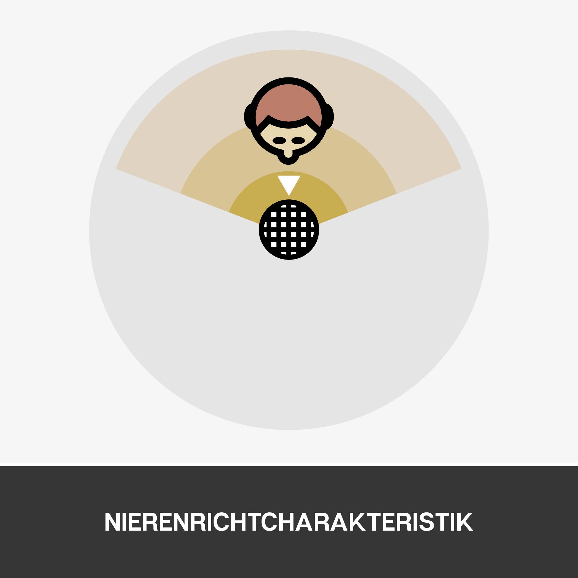 Blue Microphones Snowball iCE Sur pied Micro PC Type de transmission (détails):filaire, USB filaire, USB noir-4