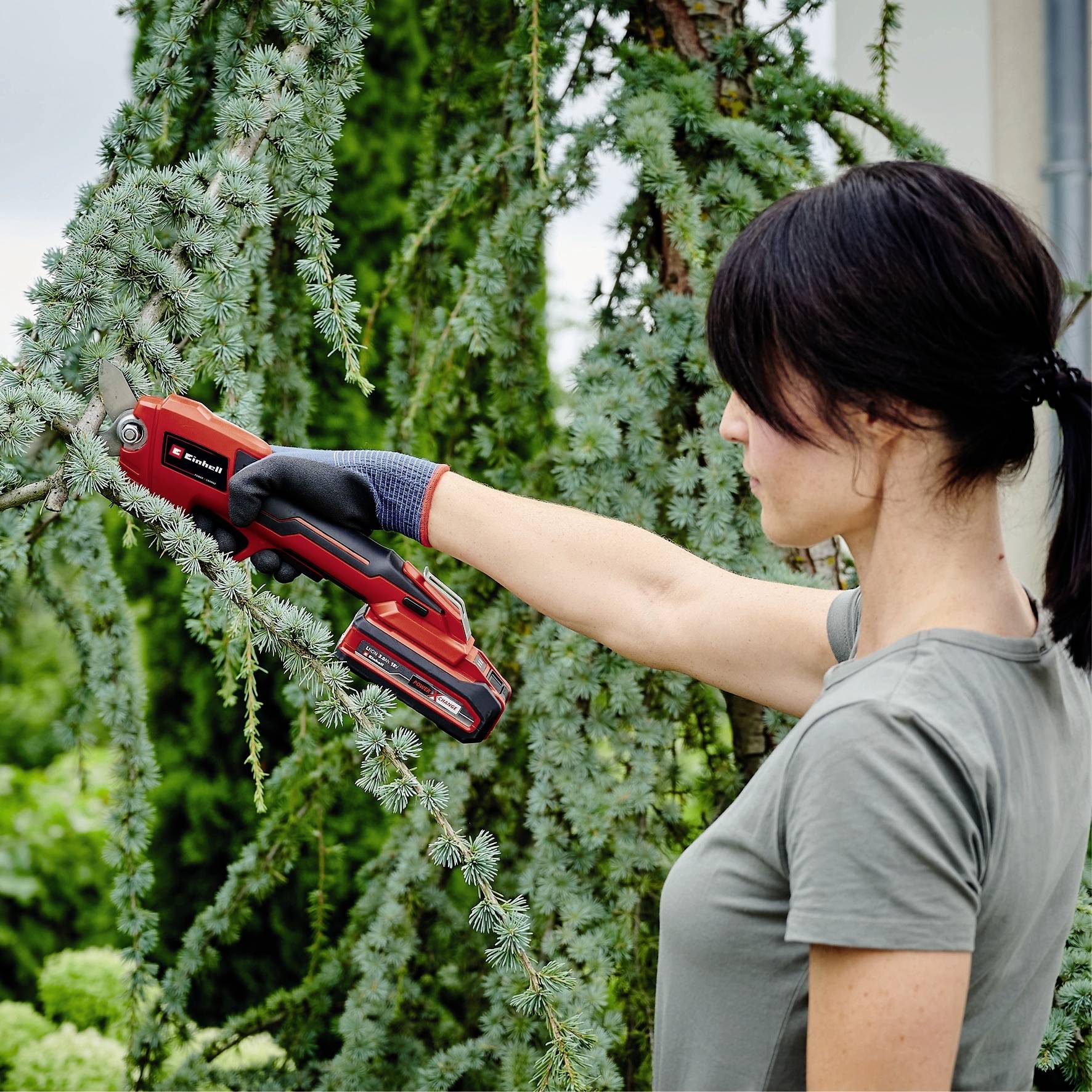 Une femme coupe des branches d'un arbre avec une tronçonneuse dans un jardin. Elle porte un t-shirt gris et des gants noirs.
