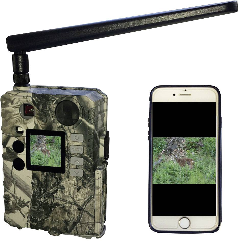 Appareil photo et smartphone avec une photo de faune sauvage sur l'écran. L'appareil photo a un motif de camouflage et une antenne, la photo montre un animal dans la forêt.