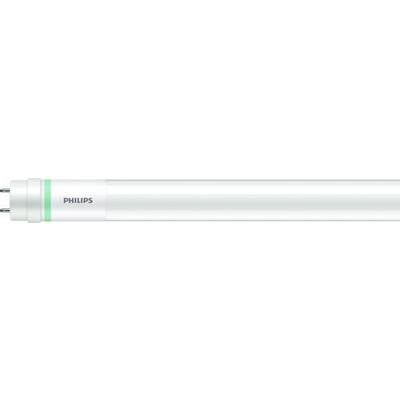 Tube fluorescent Philips, positionné horizontalement, montrant l'anneau vert distinctif près de l'extrémité.