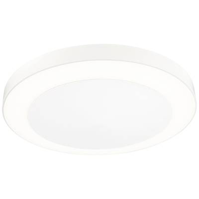 Plafonnier LED rond blanc au design épuré et moderne, adapté à l'éclairage de salon ou de bureau.
