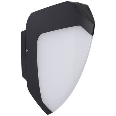 Applique murale extérieure noire en forme de bouclier avec diffuseur blanc, conçue pour l'éclairage extérieur, au design moderne et résistante aux intempéries.