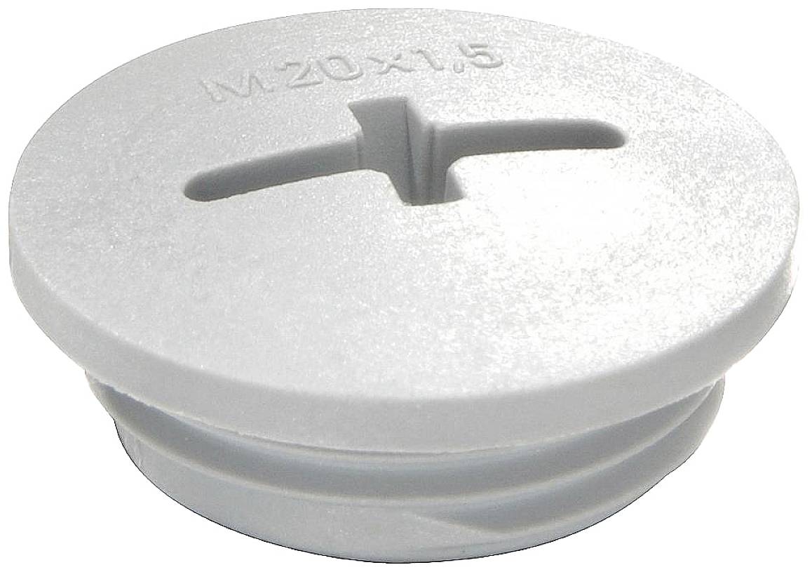Un bouchon en plastique gris rond avec une fente et l'empreinte 'M20 x 1,5'.