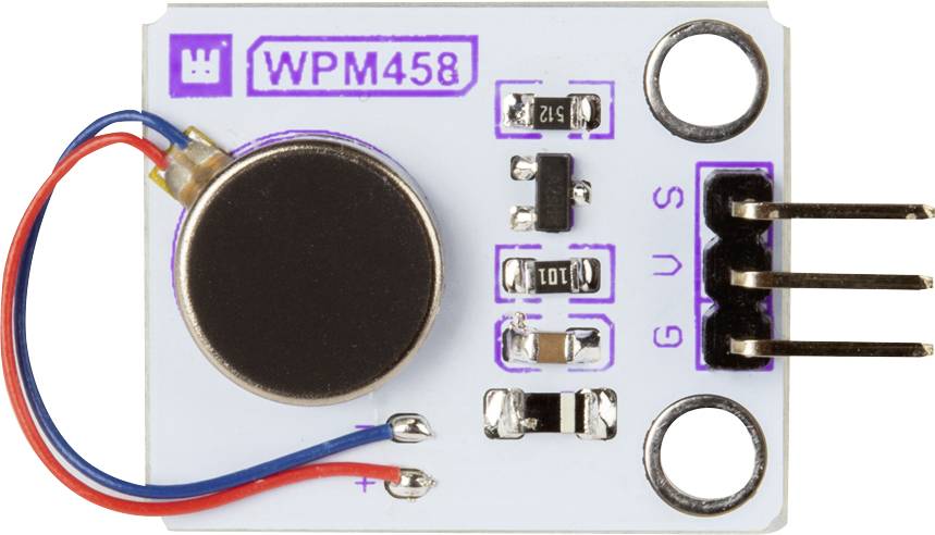 Un module de capteur de vibration nommé 'WPM458', montrant une variété de composants électroniques et de broches de connexion.
