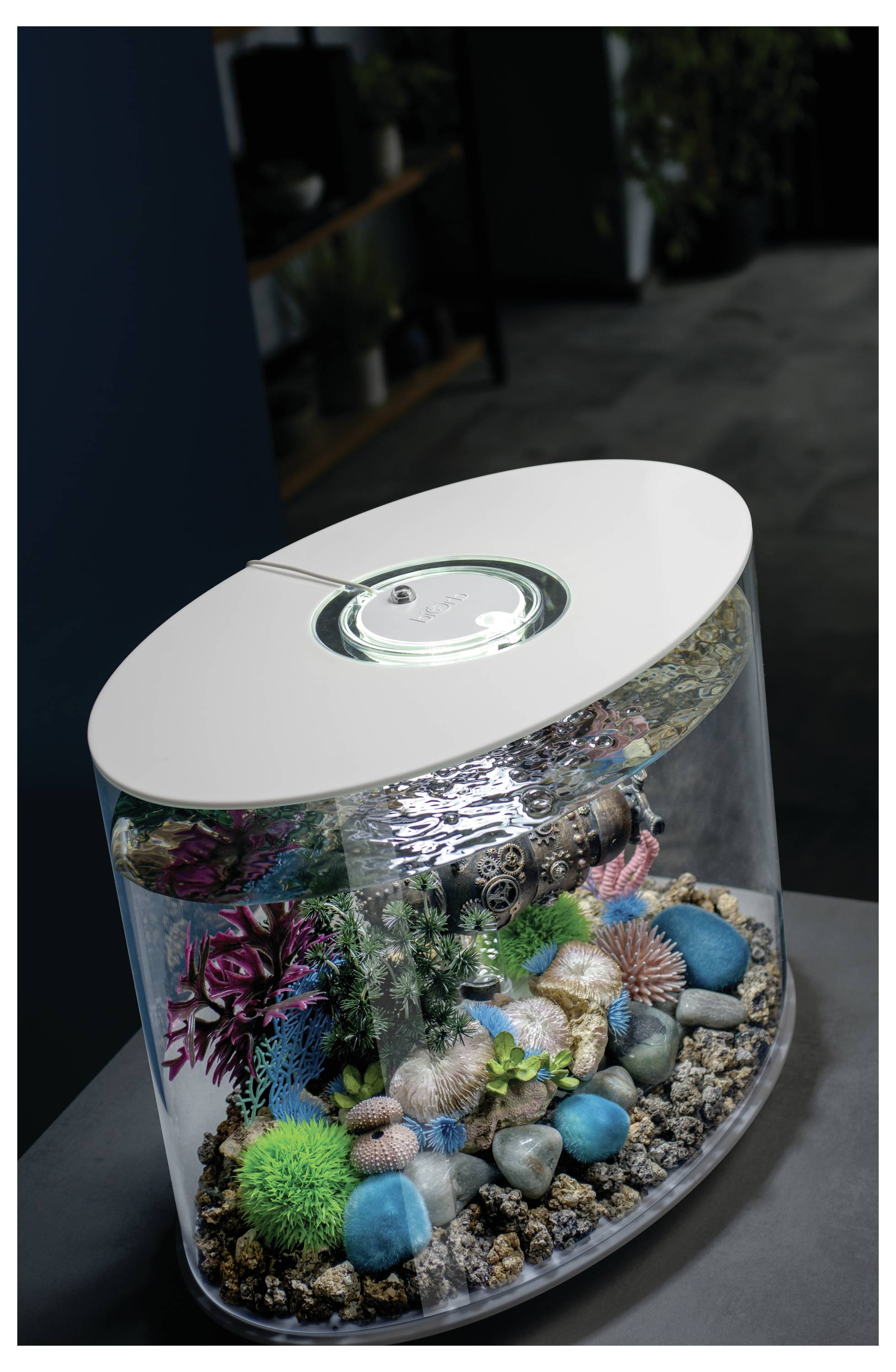 Un aquarium incurvé avec des rochers décoratifs, des coraux colorés et un éclairage LED, placé sur une table dans un environnement de pièce moderne.