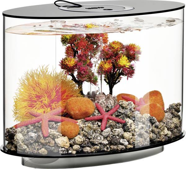 OASE biOrb 86425 biOrb LOOP 15 LED schwarz Aquarium CEE: G (A - G)  15 l avec éclairage LED