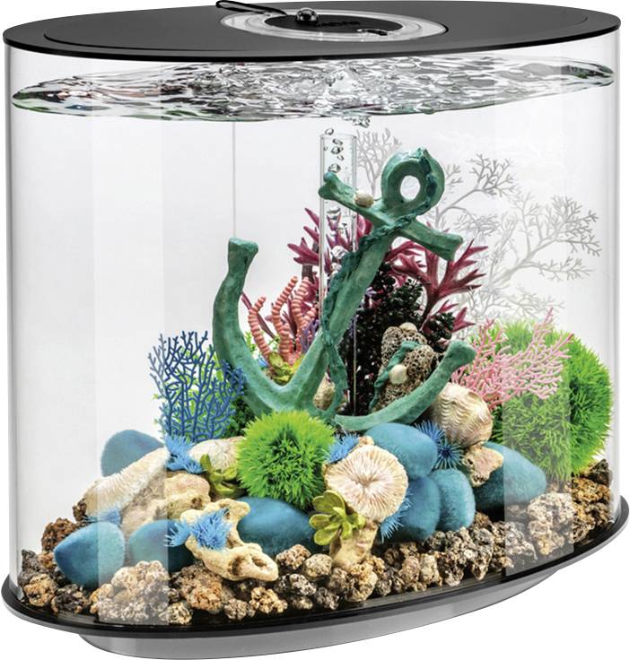 OASE biOrb 86446 biOrb LOOP 30 LED schwarz Aquarium CEE: G (A - G) 30 l avec éclairage LED