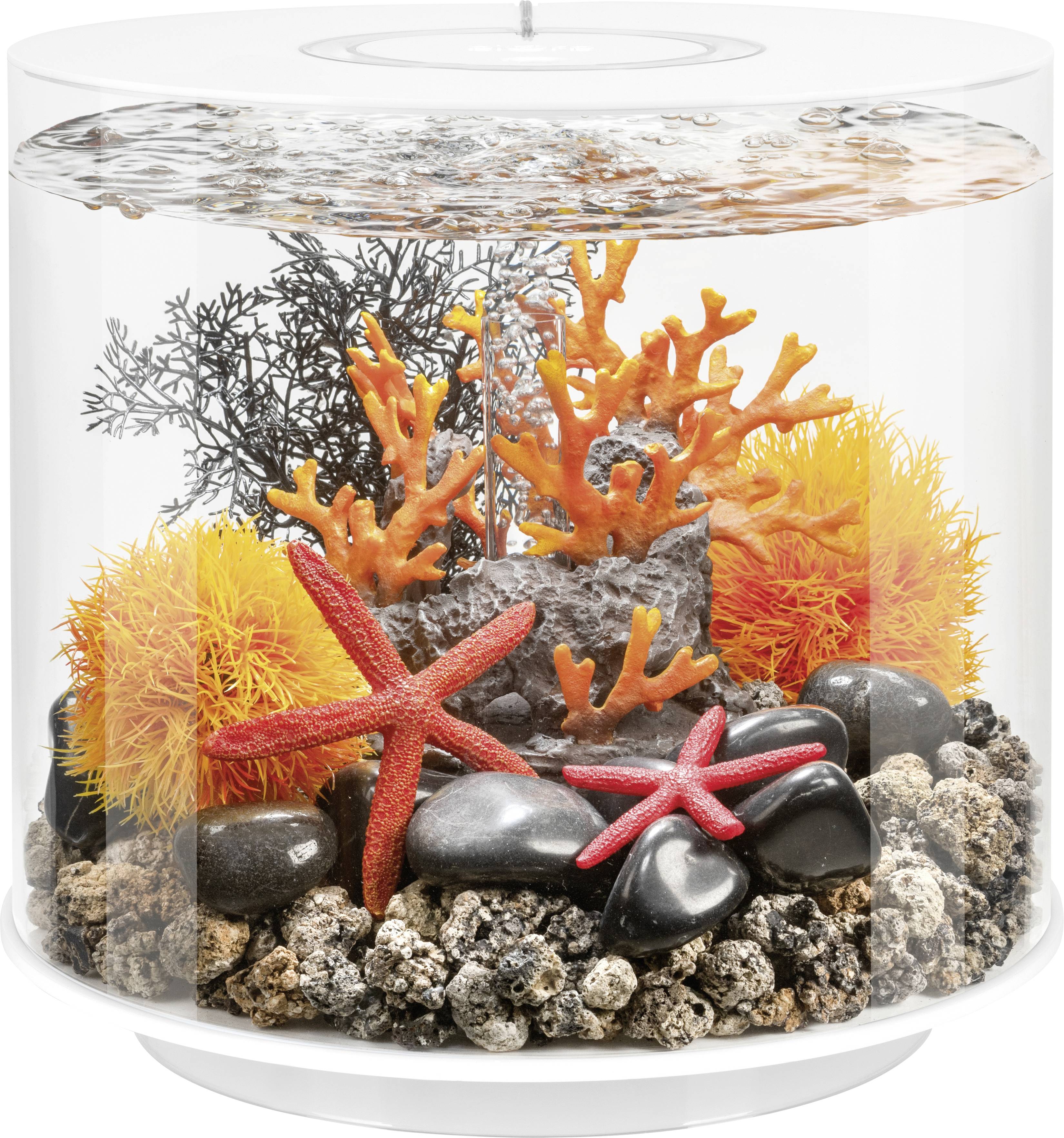 OASE biOrb 86365 biOrb Decor Set Orange Flames Décoration pour aquarium-1