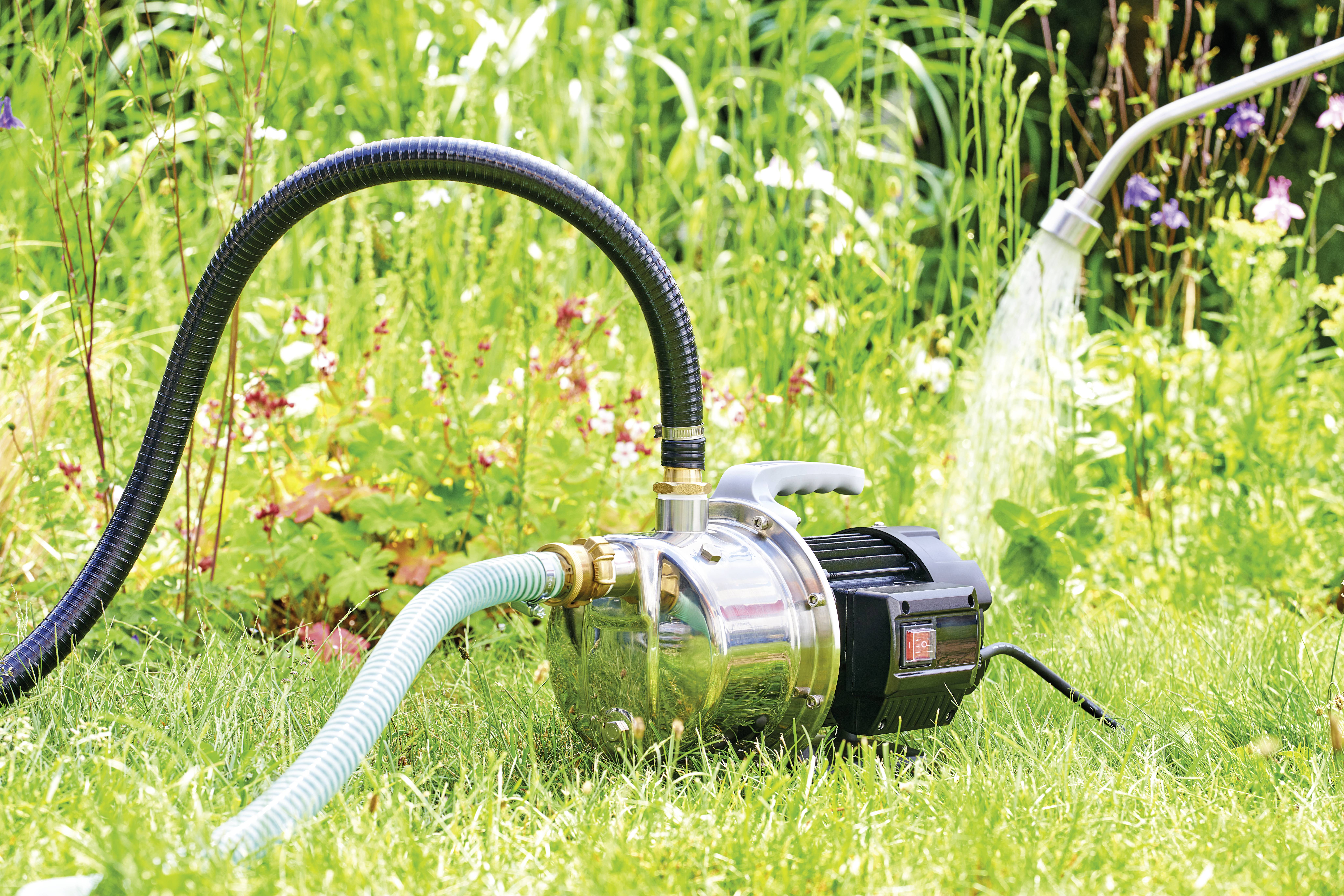 Pompe de jardin sur pelouse, arrosant un massif de fleurs. Tuyau d'arrosage connecté, jet d'eau à droite de l'image. Travaux de jardinage détendus.
