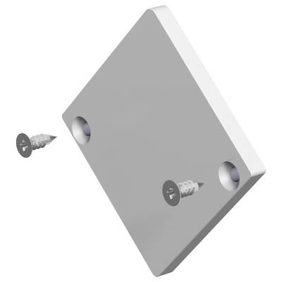 EVN APEXLEAPQ EVN Lichttechnik Capuchon d'extrémité pour profilé aluminium (L x l) 3 mm x 42.00 mm Piece 1 pc(s)-1