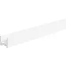 EVN APFW200 EVN Lichttechnik Sculptures aluminium (L x l) 2000 mm x 18.50 mm 1 pc(s)