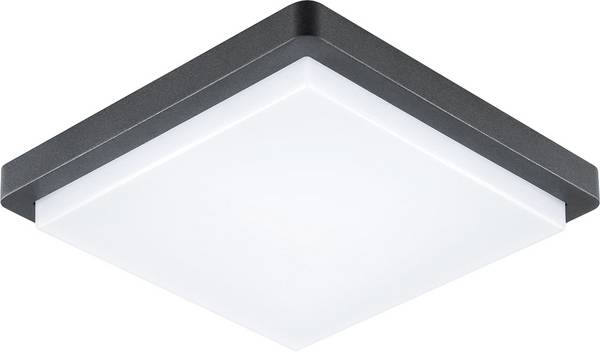 EVN DAQH54141502 DAQH54141502 Plafonnier LED LED   14 W anthracite