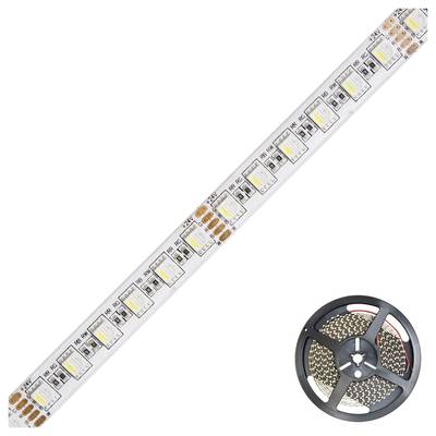 EVN IC5448420509902 Ruban LED CEE: E (A - G) avec câble à extrémités ouvertes 48 V 5 m RVBB 1 pc(s)-1