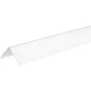 EVN KAMQ100 EVN Lichttechnik Couvre-profilé Polyméthacrylate de méthyle (L x l) 1000 mm x 39.20 mm Piece 1 pc(s)