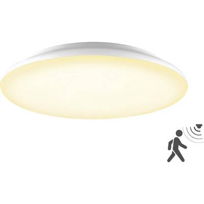 Icône de capteur de lumière au plafond avec une silhouette de personne et des ondes de signal en bas à droite, indiquant la détection de mouvement ou de présence sous une lumière surplombante.
