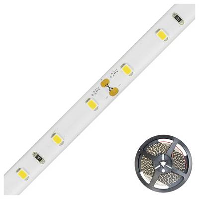 Ruban LED blanc 24V avec diodes jaunes présenté en diagonale, plus une bobine de ruban LED en bas à droite.