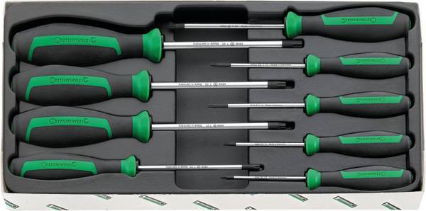 Stahlwille 4699 TX-SCHRAUBENDREHER MIT BOHRUNG  Tournevis TX Taille (tournevis) T 8, T 9, T 10, T 15, T 20, T 25, T 27, T 30, T 40   1 pc(s)