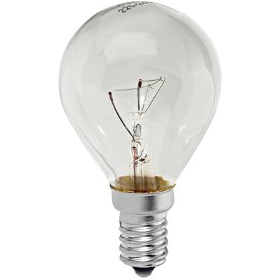 Xavax Ampoule de four 70 mm 230 V E14 40 W CEE 2021 G (A - G) blanc chaud   1 pc(s)